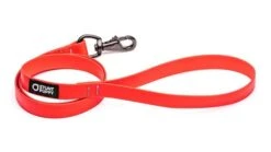 Laisse Biothane Imperméable (5 Couleurs) 9 Laisse Biothane Imperméable (5 Couleurs) -Chats Chiens Fournitures Magasin MG 6374 720x 7a40f1a5 4769 433b bc0a 509f883c9200