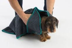 Serviettes Absorbante Sally -Chats Chiens Fournitures Magasin MG 8502