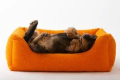 Panier Henri En Laine Casentino Duepuntootto 14 Panier Henri En Laine Casentino Duepuntootto -Chats Chiens Fournitures Magasin MG 8704