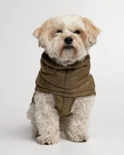 Doudoune Très Chaude Pour Chien -Chats Chiens Fournitures Magasin MG 9311 1440x1800 70cf0f99 97bd 4550 9c67 7d66a2f5952b