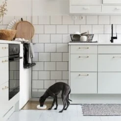 Bol Pour Chien Design Nordique Ole Hyvä -Chats Chiens Fournitures Magasin Ole hyva dog ceramic bowl for tiny dogs