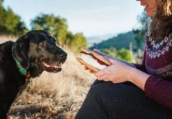 PLAY Peluche Pour Chien Sandwich Gimme S'mores -Chats Chiens Fournitures Magasin PLAY LC 0971 web