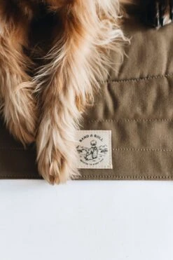 Matelas De Voyage Pour Chien Enroulable Compass Band & Roll -Chats Chiens Fournitures Magasin Pawsonthebraunblanket 720x 9d6a52c4 2442 4a35 9a76 4b97f387698d