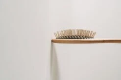 Brosse Chiens Poils Longs Lila Loves It -Chats Chiens Fournitures Magasin Produkt Informationen Buerste Langhaar mit Griff 1000x667 1