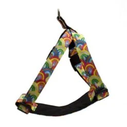 Harnais Pour Chien Over The Rainbow -Chats Chiens Fournitures Magasin RHA6 444x445 f18b60fb b7ff 448c affd 424b89b4d741