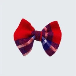 Noeud Papillon Pour Chat écossais -Chats Chiens Fournitures Magasin SHUKA RED CAT BOW TIE WEB 444x444 2c473c66 25aa 43a3 a2a9 255761825c0d