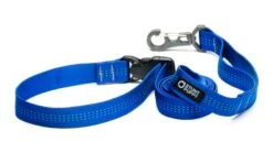 Laisse Souple Everyday (3 Couleurs) -Chats Chiens Fournitures Magasin SP Leashes Large Blue 900x d80fc47a 1da2 48a7 97e5 16cda7c299a6