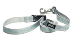 Laisse Souple Everyday (3 Couleurs) -Chats Chiens Fournitures Magasin SP Leashes Large Silver 900x d4ccfeed 57c6 441c a8f2 fdf31e8d91d3