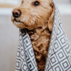 Serviette Absorbante Linaa -Chats Chiens Fournitures Magasin Soft bamboo fabric dog towel 5 600x600 1