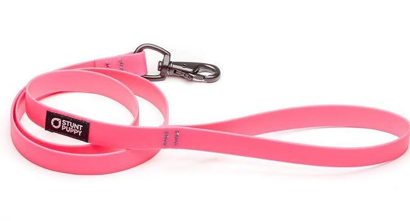 Laisse Biothane Imperméable (5 Couleurs) 1 Laisse Biothane Imperméable (5 Couleurs)