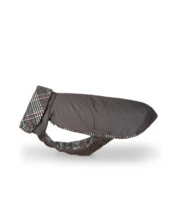 Manteau D'hiver Pour Lévriers