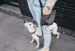 Sac à Récompenses Lupo Miacara -Chats Chiens Fournitures Magasin banu whippet 05