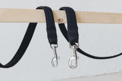 Laisse Destroyer - Basic 8 Laisse Destroyer - Basic -Chats Chiens Fournitures Magasin bbe331 8d2771ce14714c5584dfbad81b7c3b64 mv2 9d863660 5d59 4808 84b9 abec84e3ce94