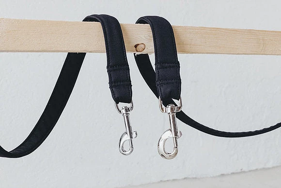 Laisse Destroyer - Basic 3 Laisse Destroyer - Basic – Image 3