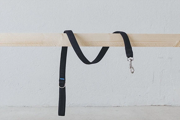 Laisse Destroyer - Basic 1 Laisse Destroyer - Basic