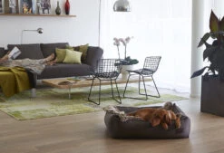 Couverture Plaid Pour Chat Lana -Chats Chiens Fournitures Magasin bermueller 1 3603