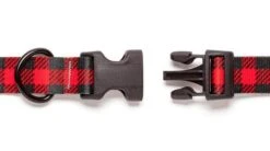 Collier Pour Chien Buffalo (2 Couleurs) -Chats Chiens Fournitures Magasin buffalo2