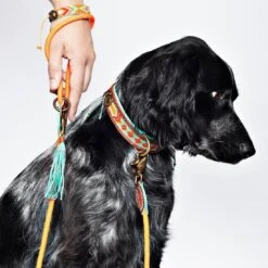 Laisse En Corde Dwam (8 Couleurs) -Chats Chiens Fournitures Magasin carrot cake hondenriem l dog leash l 7000 en G