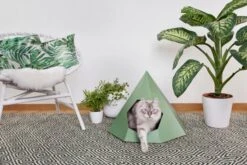 Chats Chiens Fournitures Magasin -Chats Chiens Fournitures Magasin cattipi scene green lowres preview