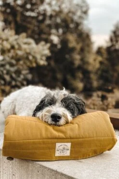 Matelas De Voyage Pour Chien Enroulable Compass Band & Roll -Chats Chiens Fournitures Magasin cf04a81573bc75b8c31670d4c7ac9c8f