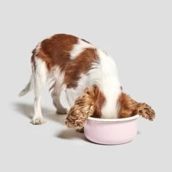 Bol Pour Chien En émail Granny -Chats Chiens Fournitures Magasin cloud7 dog bowl granny ros dog 2
