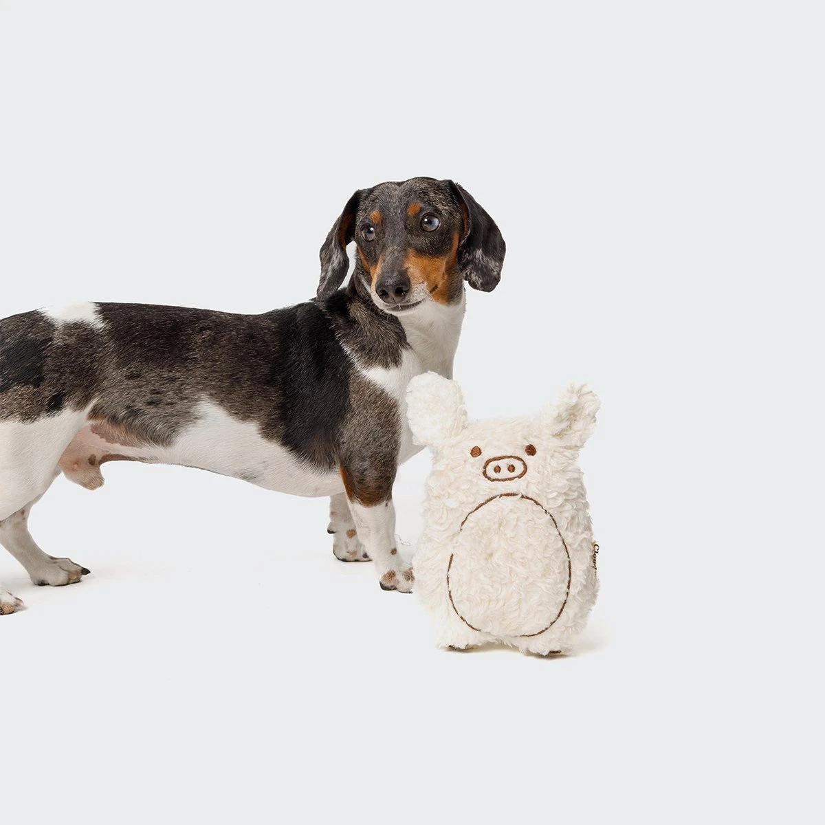 Jouet Pour Chien Cochon Harry 2 Jouet Pour Chien Cochon Harry – Image 2