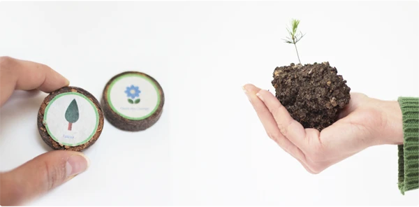 Nidoo, L'arbre Après La Vie 3 Nidoo, L'arbre Après La Vie – Image 3