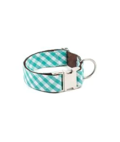 Collier Pour Chien Pedrosa