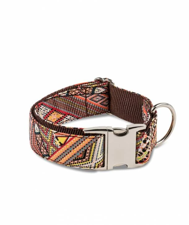 Collier Pour Chien Barcelona 1 Collier Pour Chien Barcelona