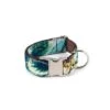Collier Pour Chien Ebre