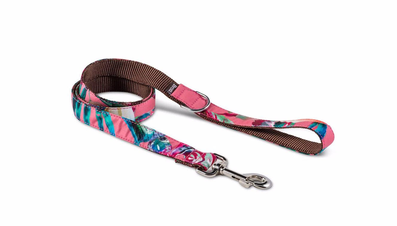 Laisse Pour Chien JUIA 1 Laisse Pour Chien JUIA