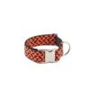 Collier Pour Chien ER