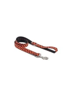 Collier Pour Chien ER -Chats Chiens Fournitures Magasin collar para perros textura er brott d8189bab 40a8 45f7 be30 a4a901572df1