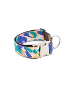 Laisse Pour Chien Montroig -Chats Chiens Fournitures Magasin collar perro estampado textura montroig