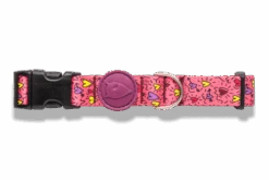 Collier Pour Chien Pink Think -Chats Chiens Fournitures Magasin collare pink think header top transparent b