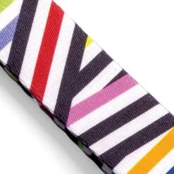 Collier Pour Chien Spaghetti -Chats Chiens Fournitures Magasin collare spaghetti incident mini gallery 03 v2