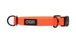 Collier Pour Chien Imperméable En Biothane -Chats Chiens Fournitures Magasin dcs orange 1024x1024 7e70fe19 45a5 4330 a625 3b5dd454a229