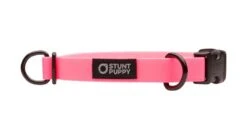 Collier Pour Chien Imperméable En Biothane -Chats Chiens Fournitures Magasin dcs pink 1024x1024 4460f0f5 d272 4aa8 986b 531092d33aae