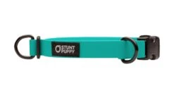 Collier Pour Chien Imperméable En Biothane -Chats Chiens Fournitures Magasin dcs teal 1024x1024 5b11fb85 3252 4a40 81e3 b6118a7ac963