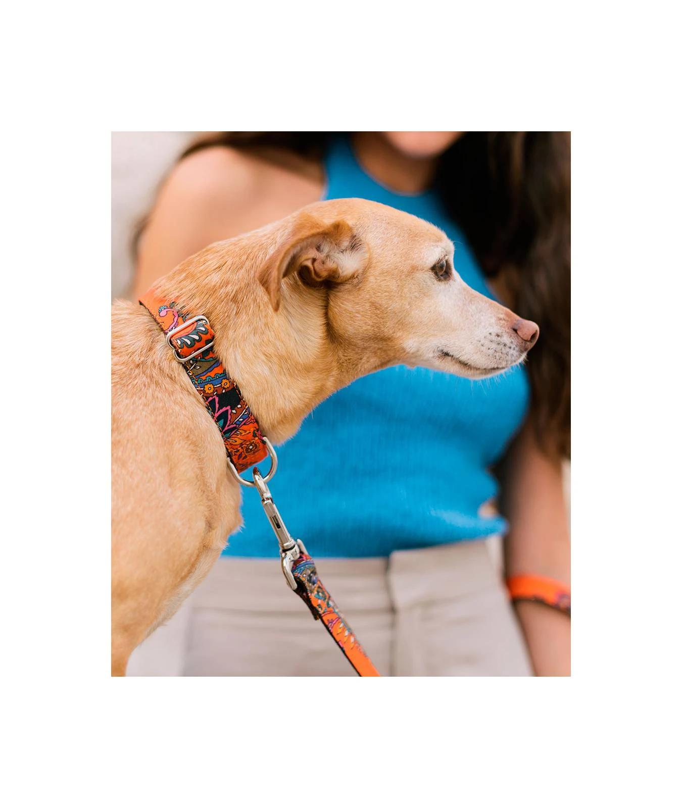 Laisse Pour Chien Bohème Batea 2 Laisse Pour Chien Bohème Batea – Image 2