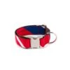 Collier Pour Chien Beleser Classique Et Martingale