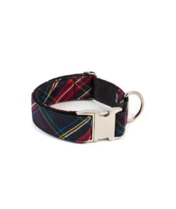 Collier Pour Chien écossais Cerdanya