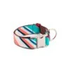 Collier Pour Chien Morisca Classique Et Martingale