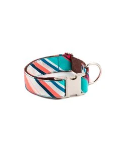 Collier Pour Chien Morisca Classique Et Martingale