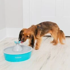 PetSafe Fontaine à Eau Butterfly Drinkwell -Chats Chiens Fournitures Magasin dogdrinkingfountain 1024x1024 2x e345ba43 8a0c 432d 8900 3ca3b79a11b2