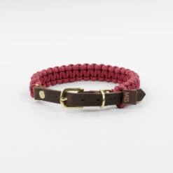 Collier Pour Chien En Corde Marine Sangle Cuir 14 Collier Pour Chien En Corde Marine Sangle Cuir -Chats Chiens Fournitures Magasin dsc 0224 1