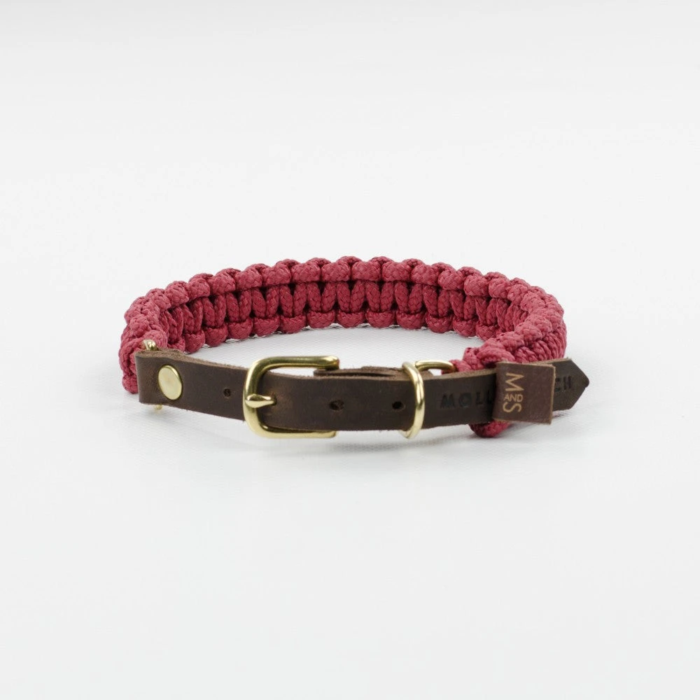 Collier Pour Chien En Corde Marine Sangle Cuir 6 Collier Pour Chien En Corde Marine Sangle Cuir – Image 6