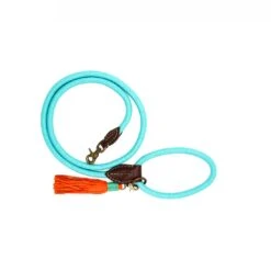 Laisse En Corde Dwam (8 Couleurs) -Chats Chiens Fournitures Magasin dwam turquoise dog leash s 7994 en G