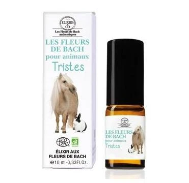 Élixir Chiens Et Chats Tristes Fleurs De Bach 1 Élixir Chiens Et Chats Tristes Fleurs De Bach