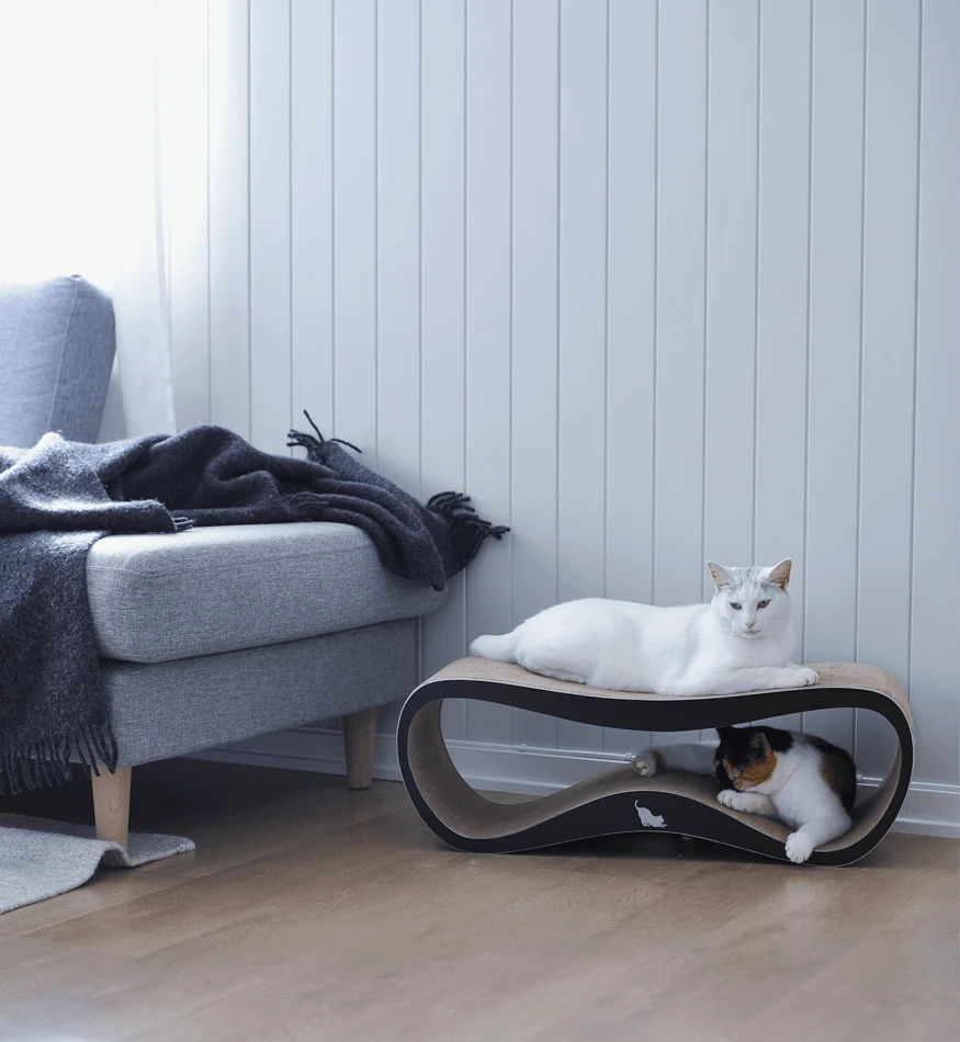 Griffoir Pour Chat Design LUI My Kotty 9 Griffoir Pour Chat Design LUI My Kotty – Image 9